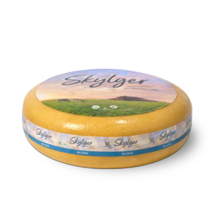 Skylger Terschelling belegen